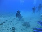 Hawaii Scuba divng 20