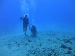 Hawaii Scuba divng 22