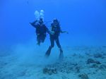 Hawaii Scuba divng 23