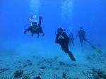 Hawaii Scuba divng 25