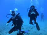 Hawaii Scuba divng 26