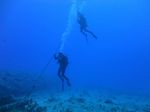 Hawaii Scuba divng 31