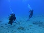 Hawaii Scuba divng 33