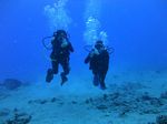 Hawaii Scuba divng 34