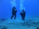 Hawaii Scuba divng 34