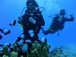 Hawaii Scuba divng 36