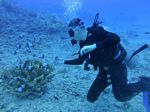 Hawaii Scuba divng 38