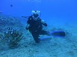 Hawaii Scuba divng 39