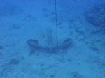 Hawaii Scuba divng 03