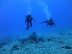 Hawaii Scuba divng 40