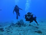 Hawaii Scuba divng 41