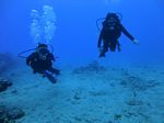 Hawaii Scuba divng 42