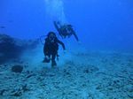 Hawaii Scuba divng 43