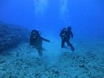 Hawaii Scuba divng 44