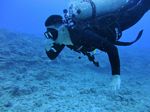 Hawaii Scuba divng 45