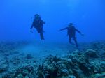 Hawaii Scuba divng 48