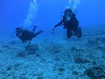 Hawaii Scuba divng 49