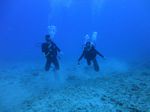 Hawaii Scuba divng 51