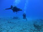 Hawaii Scuba divng 51