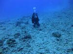 Hawaii Scuba divng 53