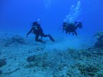 Hawaii Scuba divng 54