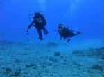 Hawaii Scuba divng 56