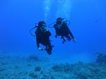 Hawaii Scuba divng 56