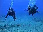 Hawaii Scuba divng 57