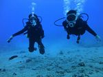 Hawaii Scuba divng 58