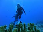 Hawaii Scuba divng 59