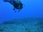 Hawaii Scuba divng 61