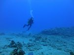 Hawaii Scuba divng 62