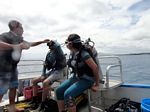 Hawaii Scuba divng 07