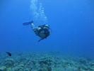 Hawaii Scuba divng 10