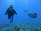 Hawaii Scuba divng 12