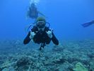 Hawaii Scuba divng 13