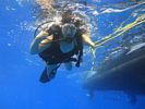 Hawaii Scuba divng 17