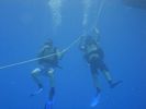 Hawaii Scuba divng 20