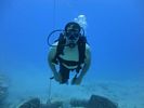 Hawaii Scuba divng 22