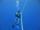 Hawaii Scuba divng 23