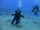 Hawaii Scuba divng 29