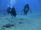 Hawaii Scuba divng 30