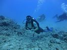 Hawaii Scuba divng 44