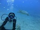 Hawaii Scuba divng 48