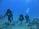 Hawaii Scuba divng 66