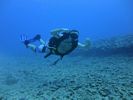 Hawaii Scuba divng 69