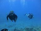 Hawaii Scuba divng 07