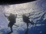 Hawaii Scuba divng 13