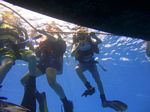 Hawaii Scuba divng 15