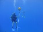 Hawaii Scuba divng 16